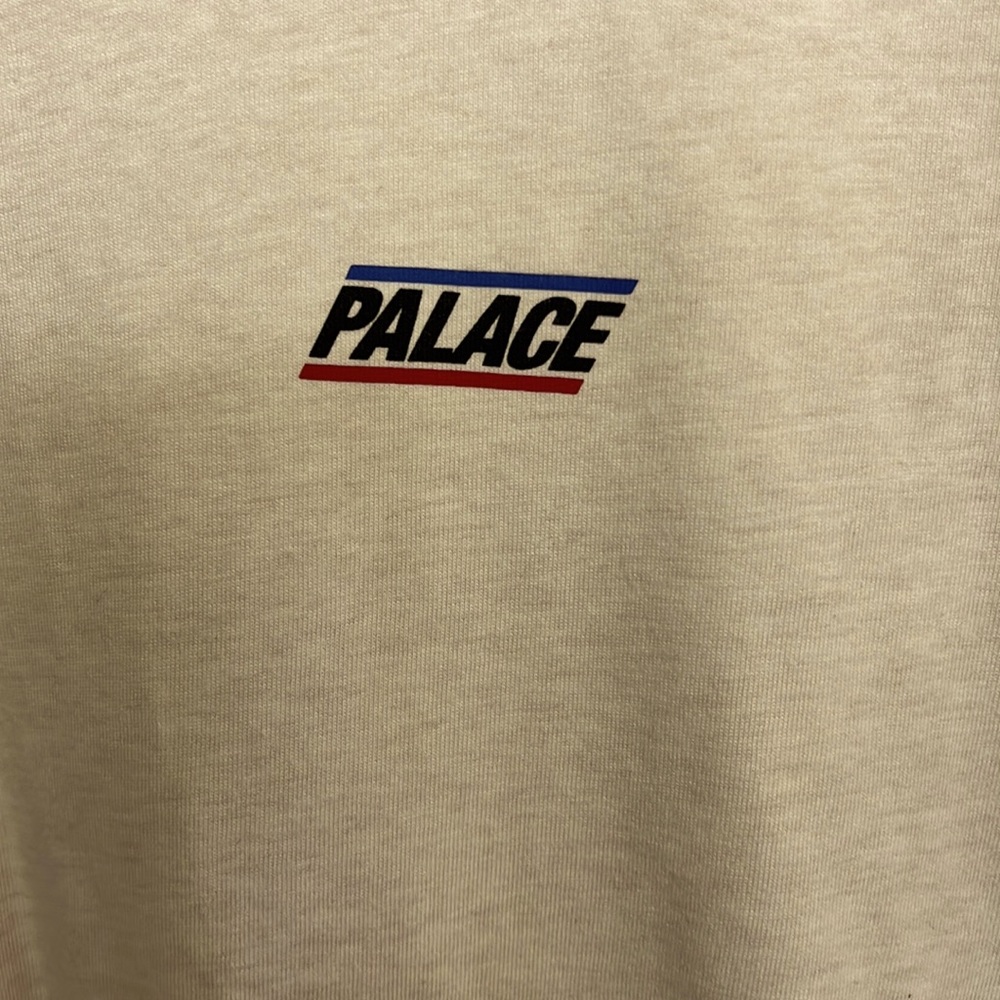 Brand new palace T shirt